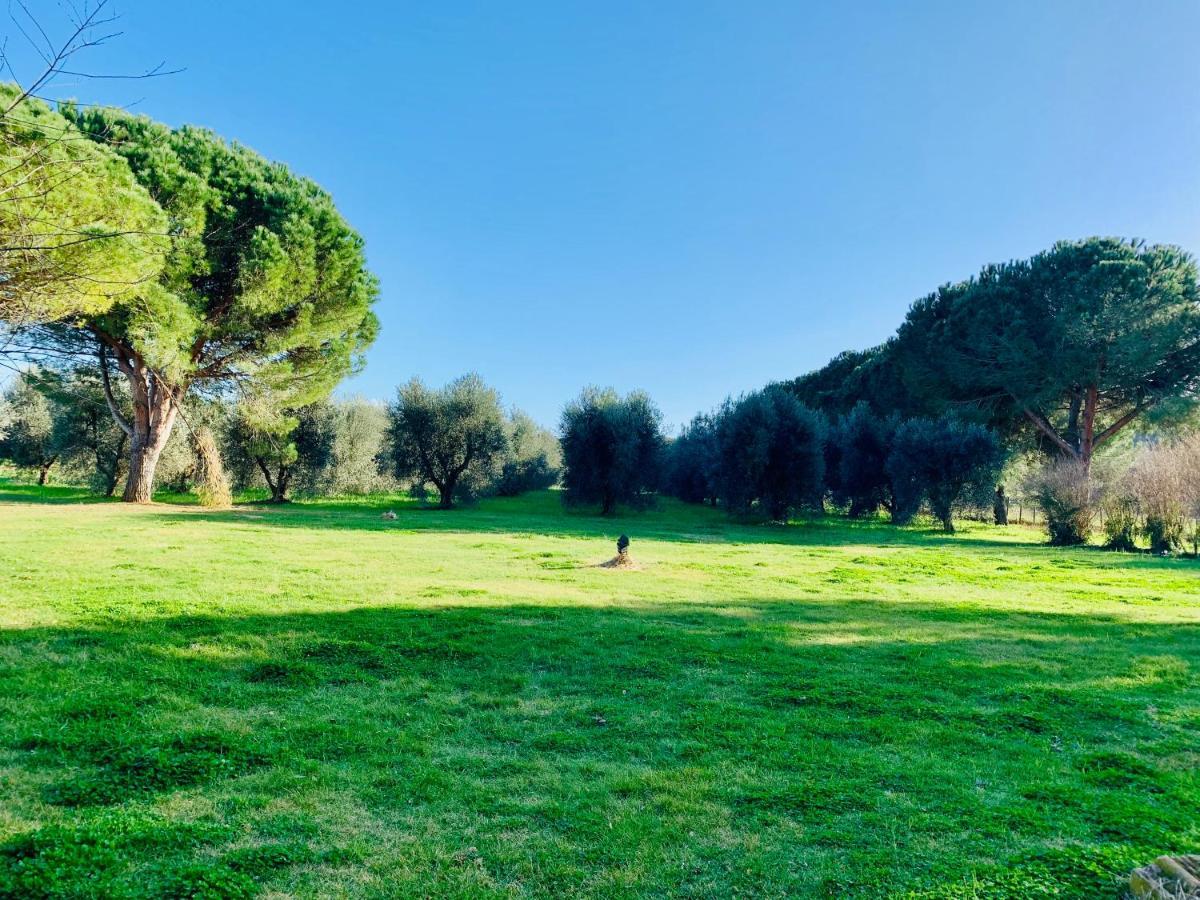 Il Borghetto Di Ansedonia Apartment Exterior photo