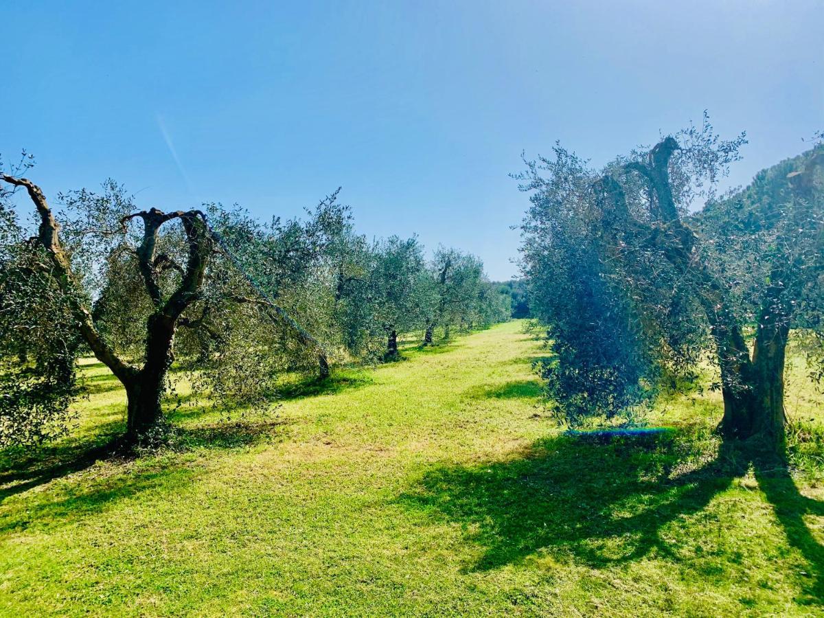 Il Borghetto Di Ansedonia Apartment Exterior photo